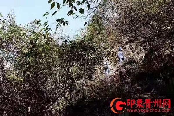 纳雍多少人口_纳雍一中图片