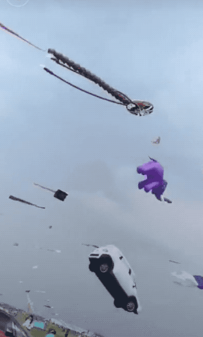 t01046481c9cf3d7669.gif?size=397x660