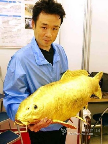 谁知道世界上最贵的鱼是哪种?