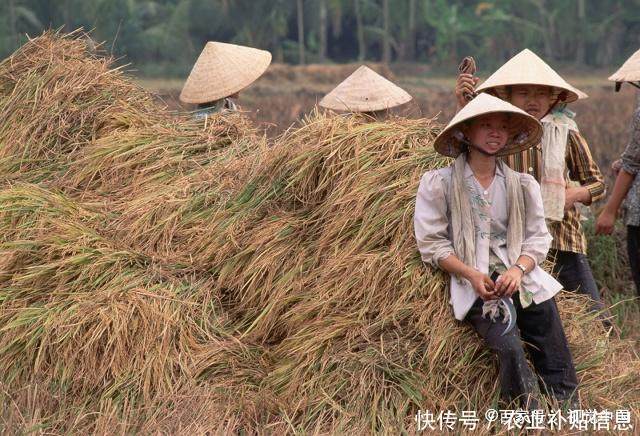 下个月这项补贴发放,几乎每家都有,一户500元,但6类人除外