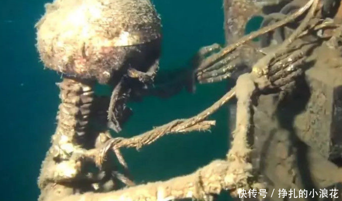 男子深海潜水,意外发现异样,接下来的一幕让他毕生难忘