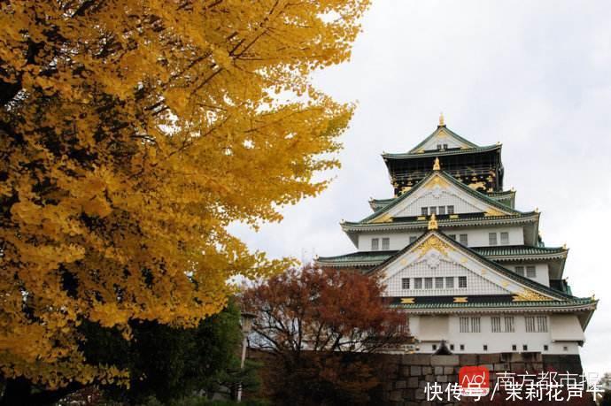 五一四天假公布后海外租车咨询翻3倍国际机票