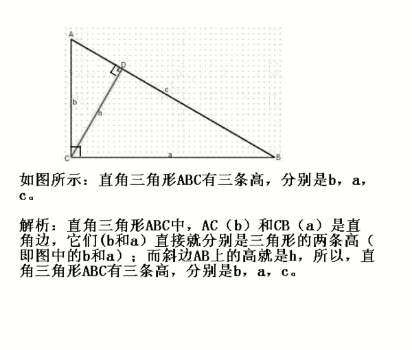 直角三角形有几条高分别是哪几条_360问答