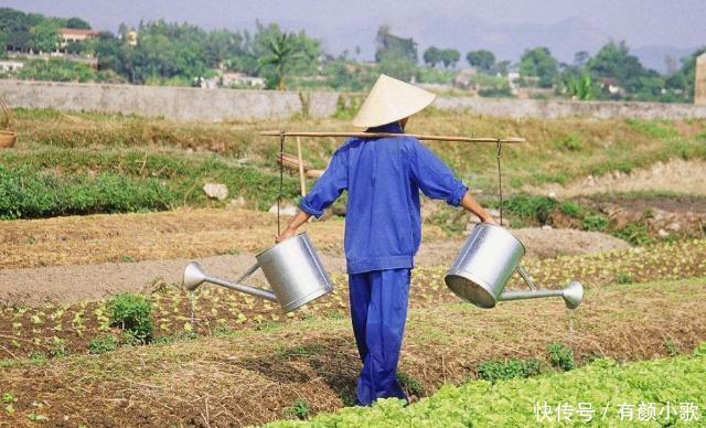 如果农民3年出去打工不种地,谁会先撑不住原