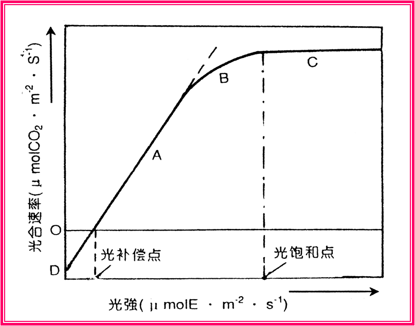 光合作用光补偿点_点指科技 合作_热电偶用补偿导线