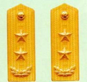 首页 资讯 社会万象     海军中将军衔主要标识为,金黄色肩章两佩镶有