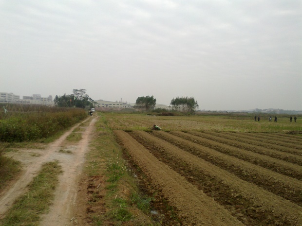 我们村几百亩承包责任田水稻田被强制征收约补