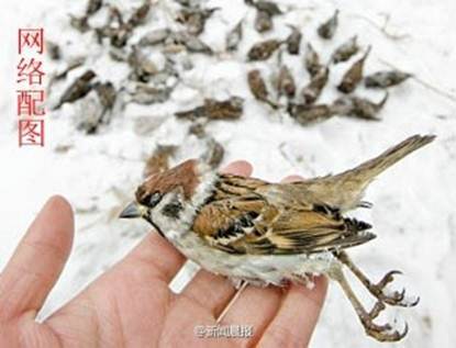 临沂人力资源三级培训班。临沂人力资源考试报