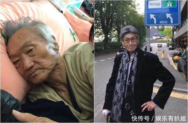 傅达仁确认将于7日安乐死, 惜别一幕让人泪目!