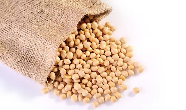 中国又一次取消美国大豆订单,美国豆农绝望下