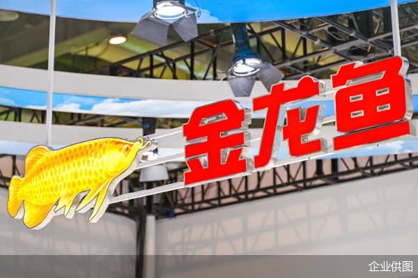 邵陽(yáng)市大祥區(qū)洋洋水族用品店（邵陽(yáng)市大祥區(qū)洋洋水族用品店地址）