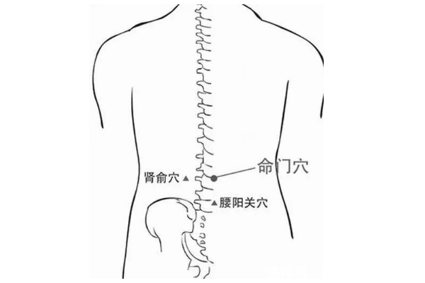腰突导致腰痛腿麻?揉揉命门穴,只需5分钟,快速