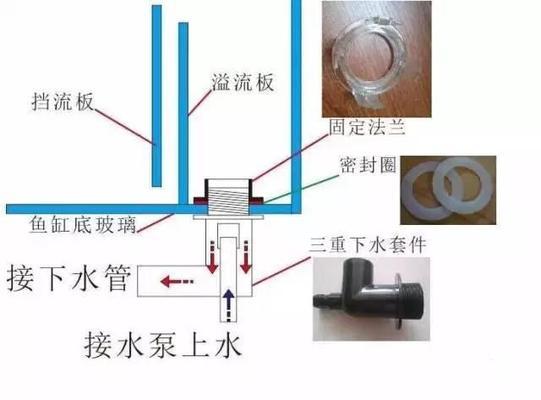 大理白族自治州龍魚批發(fā)市場(chǎng)（大理哪里批發(fā)魚） 龍魚批發(fā)