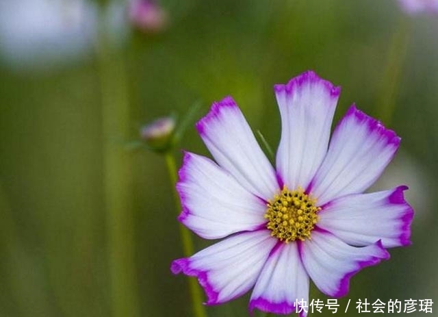 做人要帮扶:懂得再好,这教程v教程式关系,也要视频舰炮三大防御战图片