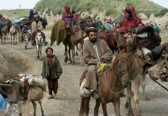 阿富汗 gdp_阿富汗猎犬