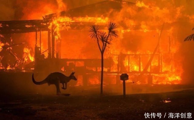 澳大利亚为什么多火灾