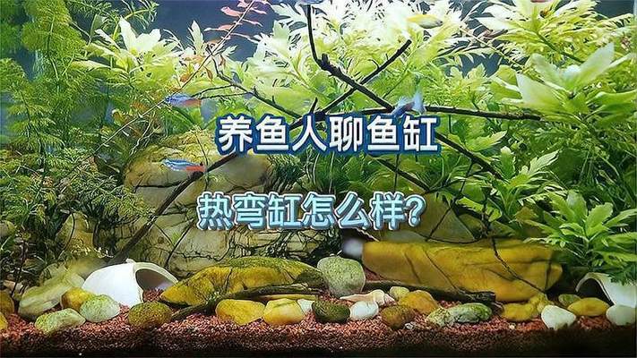 品牌魚缸哪個品牌好用些：啥品牌魚缸好