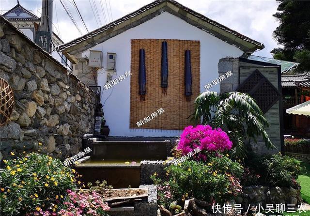 为啥我家池塘不用循环系统也能清澈见底?原来