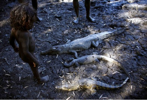 澳洲土著有哪些 t011c0e848a6d26e575.png?size=498x338