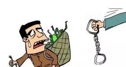 梦的警示，解析梦见吸烟不慎，衣衫成灰的深层含义