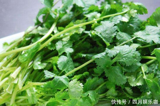 香菜怎么保存不变味 t011dc9cec31139b70d.jpg