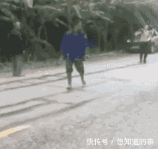 东北男跑的去海南偷香蕉被打, 偷香蕉者: 没我们