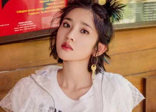 明星真实姓名应采儿不姓应,杨紫的有趣,看到张