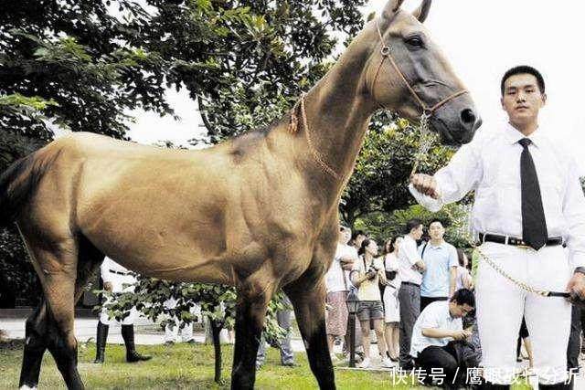 此小国曾靠中国帮助度难,如今富的流油,中国有难却只捐八百元