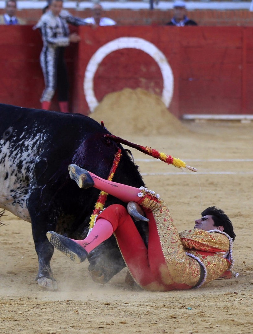 太惨了!西班牙电视直播中斗牛士惨被公牛刺死