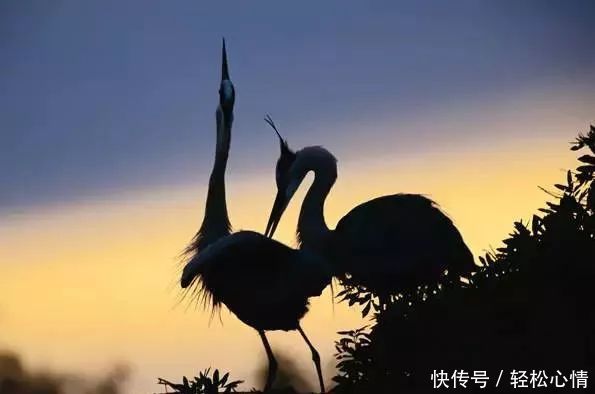 全世界最棒的十种思维