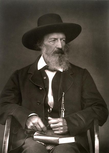 简介 丁尼生(tennyson,alfredtennysonbaron(1809-1892) ,英国19世纪