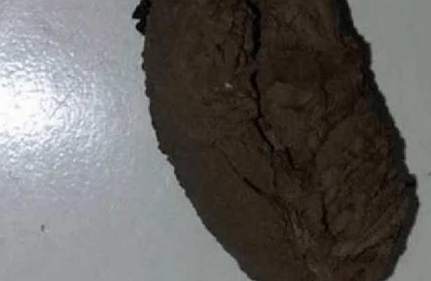 女子在家睡觉，天花板突然掉下一坨黑色东西，女子一看直呼发财了