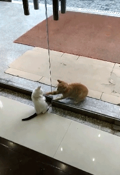 爆笑gif图:护士姐姐反被人打针了?走路样子好奇怪