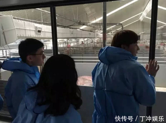 丁磊、马云、刘强东纷纷爱上养猪,来猜猜什么