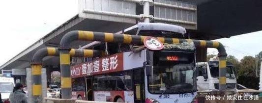 武汉593公交已致1死七伤,目前肇事公交司机已
