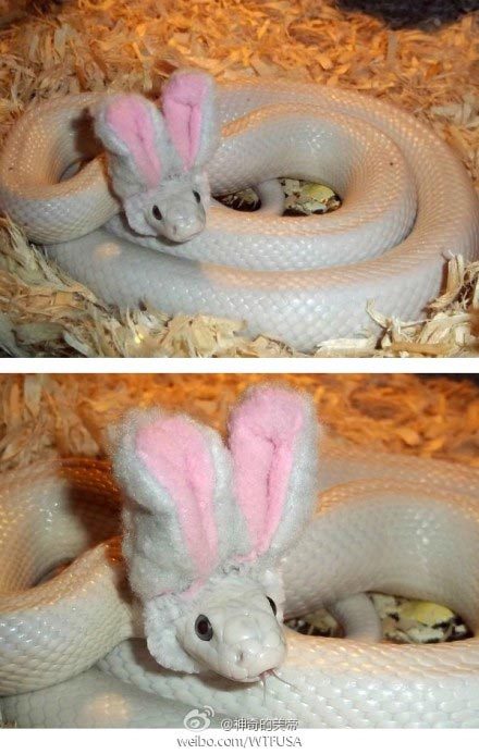 导<em>姐叨叨</em>叨:他们都是实力派演员!(2014年4月1