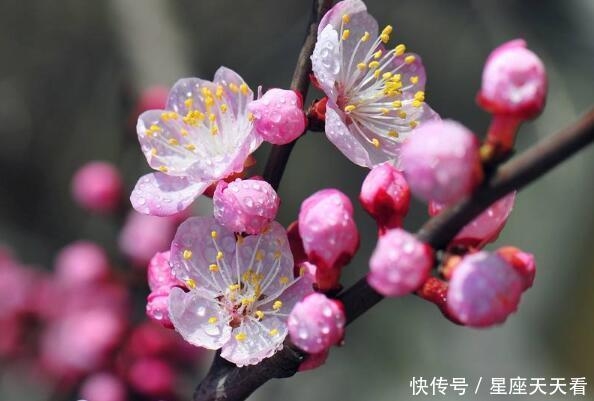 3生肖惹不起，6月财运涨百倍，横财如雨下，富的流油