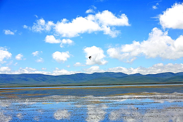 尕海湖