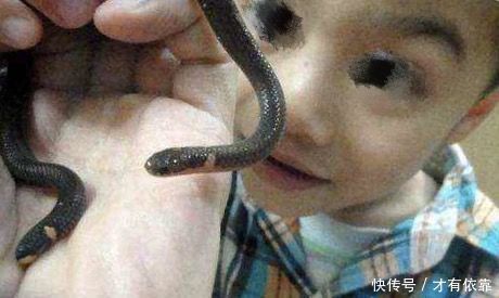 农民挖土时发现两头蛇,村里老人一看脸色发白,劝他赶快放生