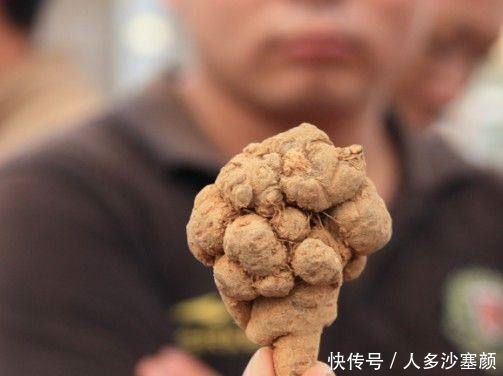 三七粉,生吃好还是熟吃好早上吃还是晚上吃空