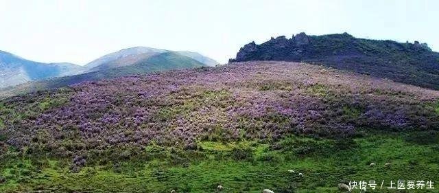 兰州人清明小长假去哪玩十条精品线路任你选!