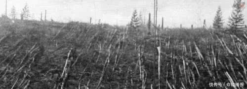 t0127d9c5a0c7569609.jpg?size=500x181