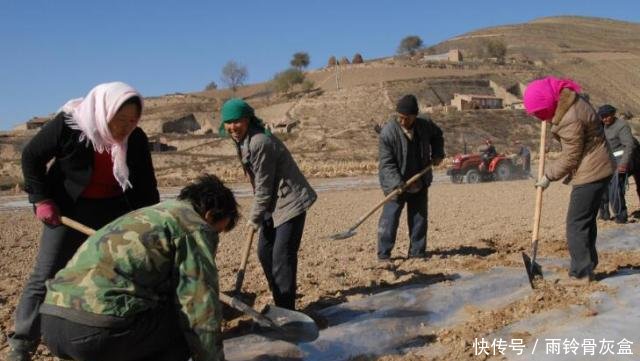 农村土地流转新政策
