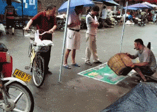 搞笑gif: 美女, 你这样睡觉会出事的! - 360娱乐,你