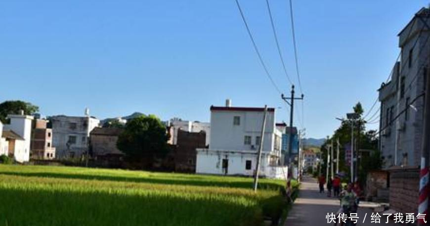 领证后再谈彩礼,婆婆霸气回复要钱没有,要皮自