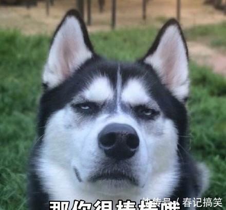 搞笑段子:这就是你的问题所在,不好好练功,到处瞎看些什么玩意 白金会棋牌手机版