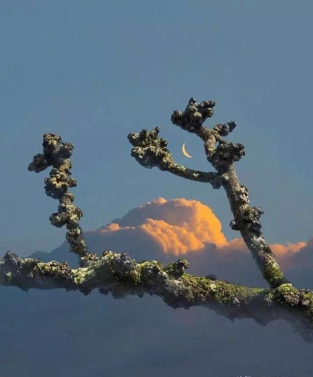 如何挽回一个说分手很坚决的男友