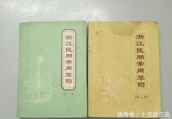 农村这种常见野草是著名民族草药,它就是农民