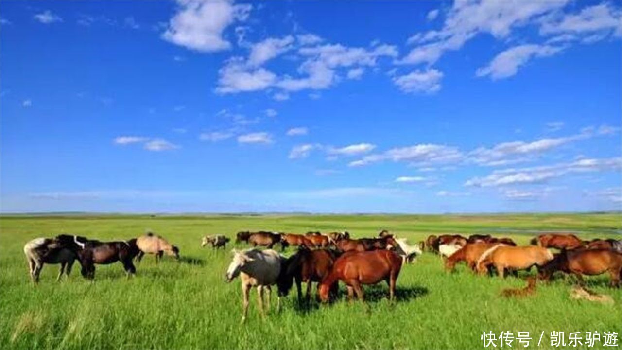 我国陆地面积最大的城市,比一个省还大,你知道是哪里吗?