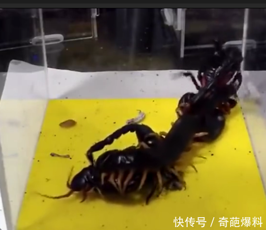 成语放什么遗憾_成语故事图片(3)